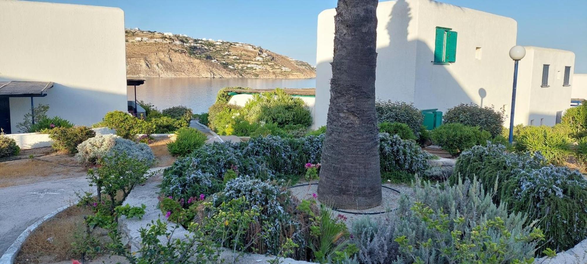 Traditionnal Mykonian Ornos (Mykonos)
